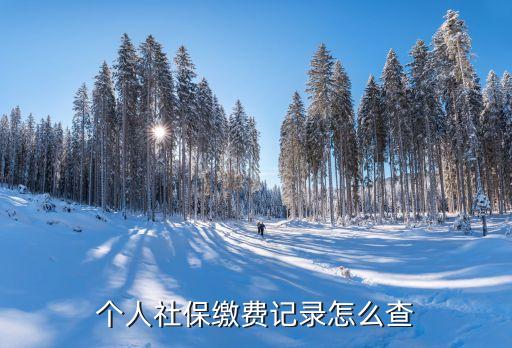 繳費(fèi)查詢,移動(dòng)繳費(fèi)記錄怎么查詢醫(yī)保繳費(fèi)可以短信查詢