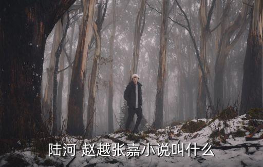 趙越,趙越的簡介:她是女演員