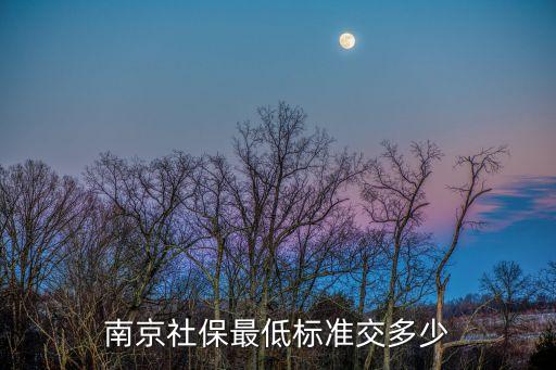 南京社保最低標準交多少