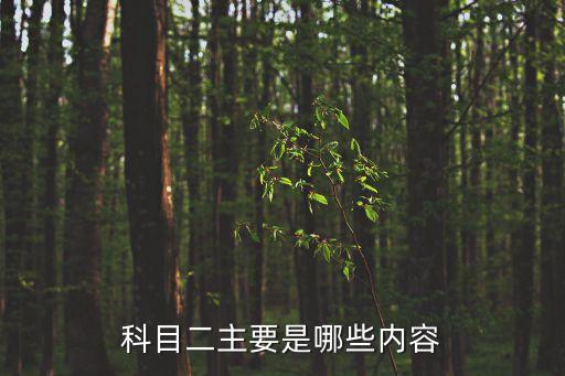 科目二主要是哪些內(nèi)容