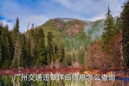 廣州交通違章詳細信息怎么查詢