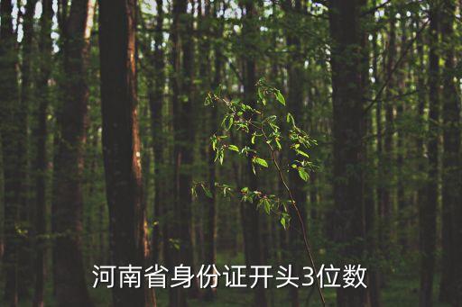 身份證411開頭的是哪里,身份證411和410的區(qū)別