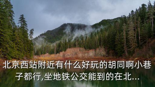 北京西站附近有什么好玩的胡同啊小巷子都行,坐地鐵公交能到的在北...