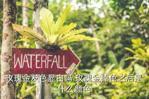 玫瑰金發(fā)色，玫瑰金怎么染啊 頭發(fā)已經(jīng)怎么樣了 玫瑰金的染發(fā)膏弄上去也沒反應(yīng)