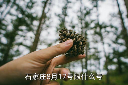 石家莊本地寶,石家莊博物院附近有什么好玩的地方?