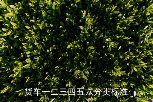 貨車一二三四五六分類標(biāo)準(zhǔn)
