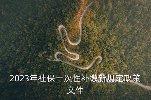2023年社保一次性補繳新規定政策文件