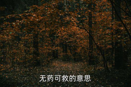 不可救藥的意思，無藥可救的意思