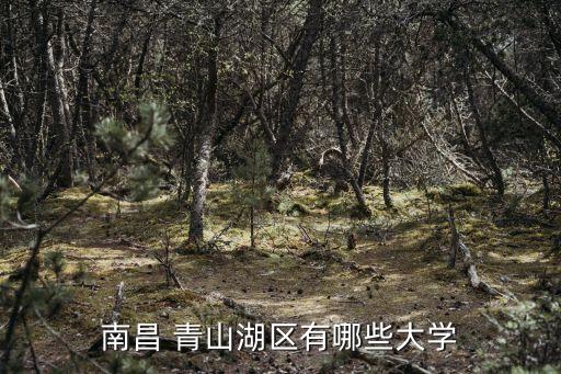 青山湖區(qū),江西哪個(gè)區(qū)最繁華青山湖區(qū)?