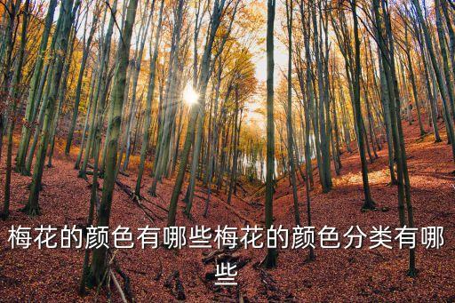 梅花是什么顏色,你知道梅花是什么?