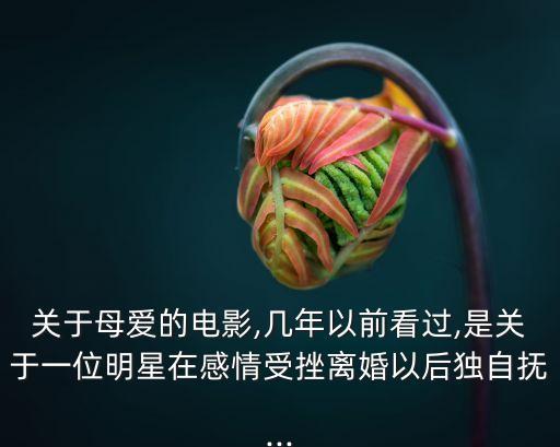 關(guān)于母愛的電影,幾年以前看過,是關(guān)于一位明星在感情受挫離婚以后獨自撫...