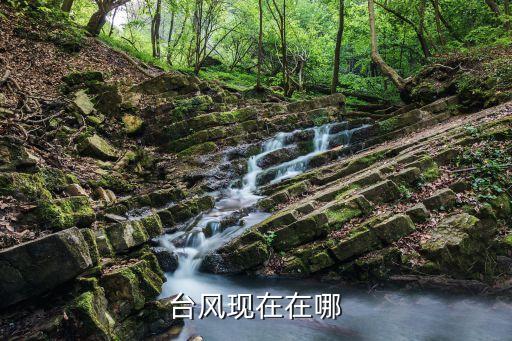 最新臺(tái)風(fēng)路徑圖,臺(tái)風(fēng)天兔路徑圖怎么看?