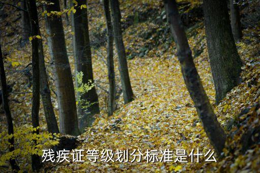 殘疾標準,視力殘疾標準是什么?