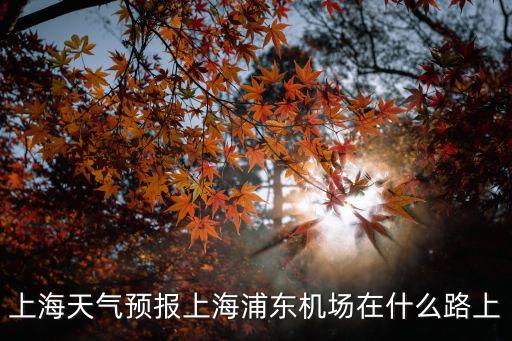 新鄭機(jī)場天氣預(yù)報,天氣預(yù)報發(fā)布步驟
