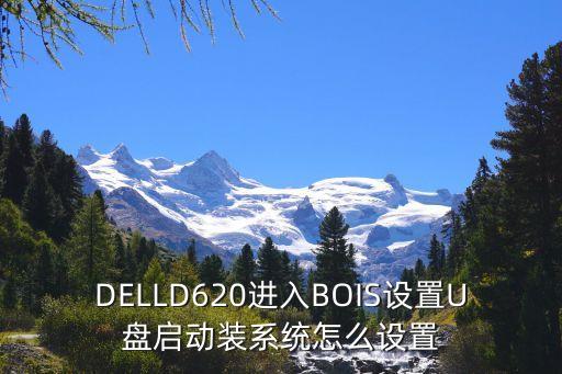 d620,戴爾d620系統怎么重裝?