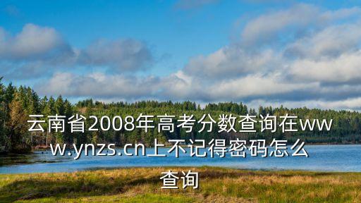 云南省2008年高考分數查詢在www.ynzs.cn上不記得密碼怎么查詢