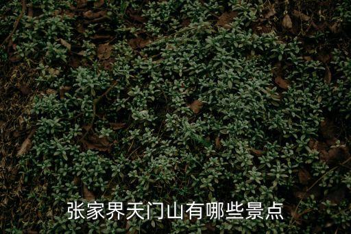 張家界天門山有哪些景點