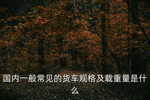 重型貨車,什么是重型特殊結構貨車?