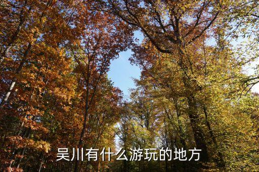 吳氏大宗祠,中國(guó)最大吳氏宗祠在哪里?
