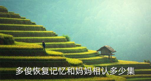多俊恢復(fù)記憶和媽媽相認(rèn)多少集
