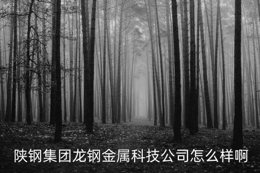 陜鋼集團(tuán),陜西鋼鐵集團(tuán)和陜西鐵路投資集團(tuán)劃入陜煤兩個(gè)新產(chǎn)業(yè)板塊