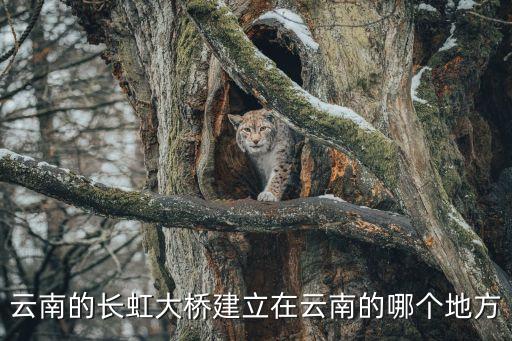 云南的長(zhǎng)虹大橋建立在云南的哪個(gè)地方