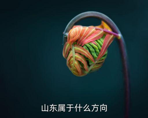 山東屬于什么方向
