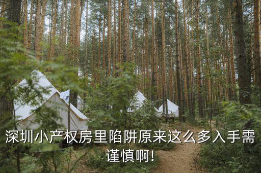 公明一小,公明中英文學校小一收費標準一學期三千