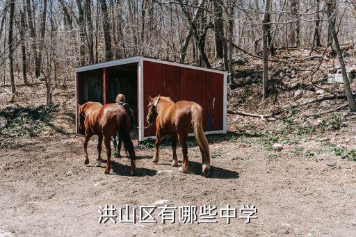 湖北大學附屬中學,武漢十所中學排名出爐湖北大學附屬中學名列前茅