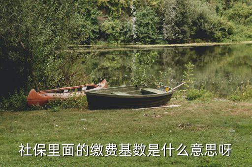社會保險繳費基數,社會保險基數有幾檔?繳費比例一般為8%