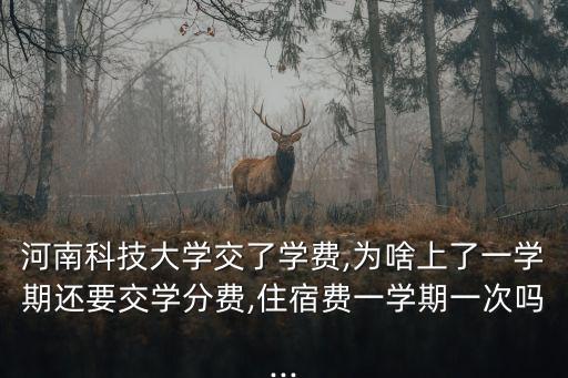 我i科大,上科大怎么辦?