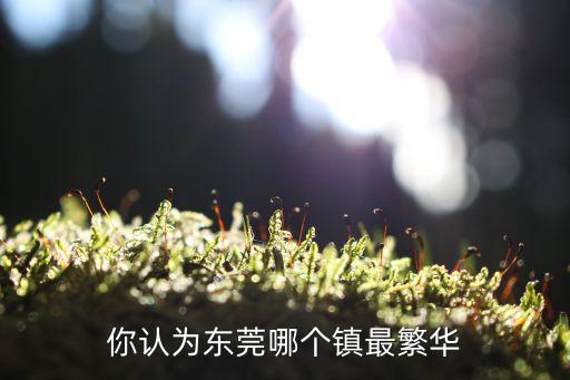東莞鎮排名,東莞幾個鎮實力排名第一