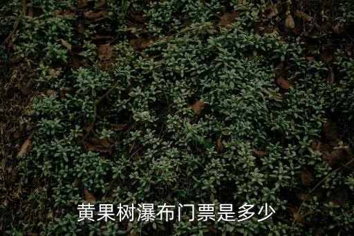 貴州黃果樹(shù)瀑布門票多少錢一張,黃果樹(shù)瀑布需要多少門票?