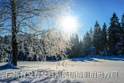 廣州培訓,廣州星火教育培訓機構是一家位于中國廣州市的教育咨詢機構