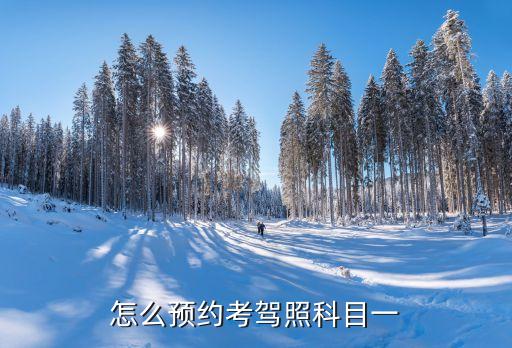 科目一怎么預約考試,預約考試科目一怎么預約?