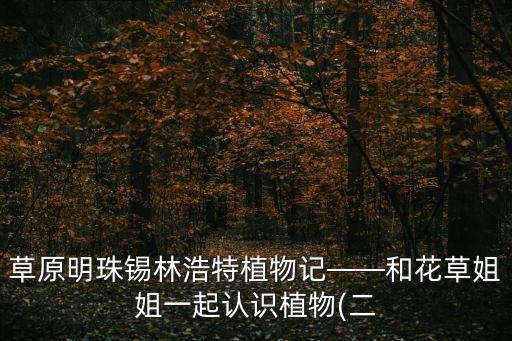 錫林浩特那達慕,那達慕會場在錫林浩特市以南?