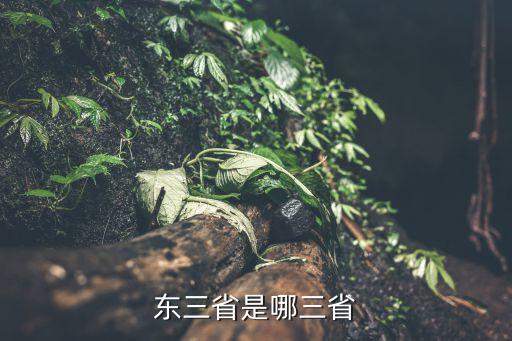 黑龍江是東北的嗎,東北三省是什么?