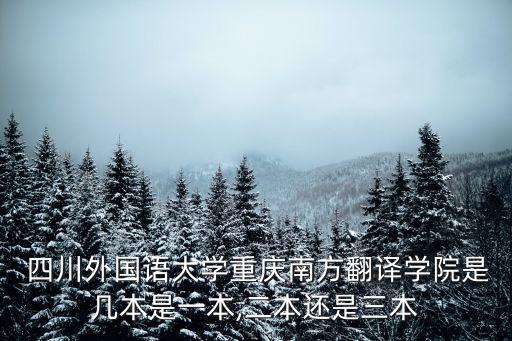  四川外國語大學(xué)重慶南方翻譯學(xué)院是幾本是一本,二本還是三本