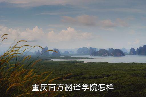 重慶南方翻譯學(xué)院怎樣