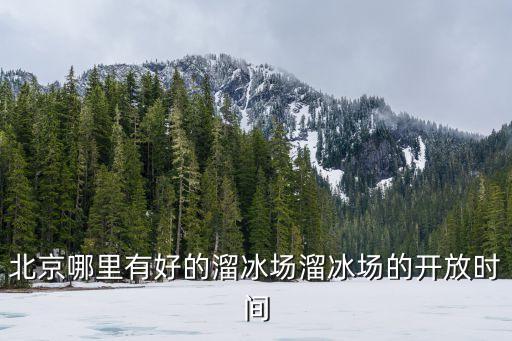 冰紛萬象滑冰場,中國第一個商業(yè)用途真冰滑冰場