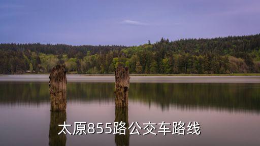 太原公交,怎么付太原公交車費?看這里!