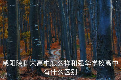 咸陽陜科大高中怎么樣和強華學(xué)校高中有什么區(qū)別