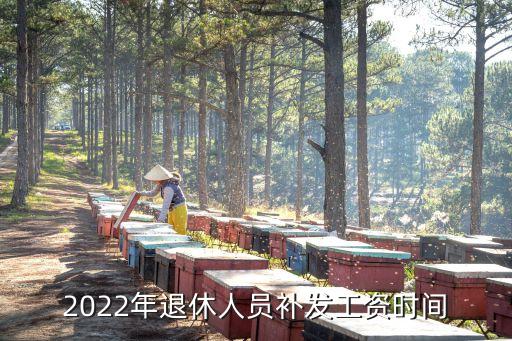 今年退休金幾月補發,每年3月退休金補發到位