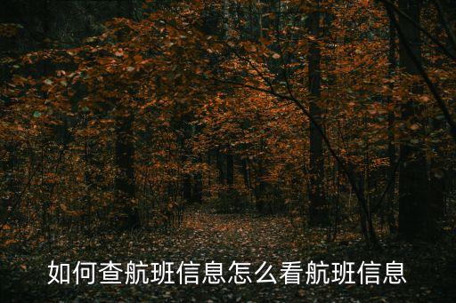 航班動(dòng)態(tài)實(shí)時(shí)查詢,飛機(jī)航班動(dòng)態(tài)查詢?cè)趺床?/></a></span><span id=