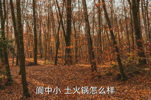 閬中小 土火鍋怎么樣