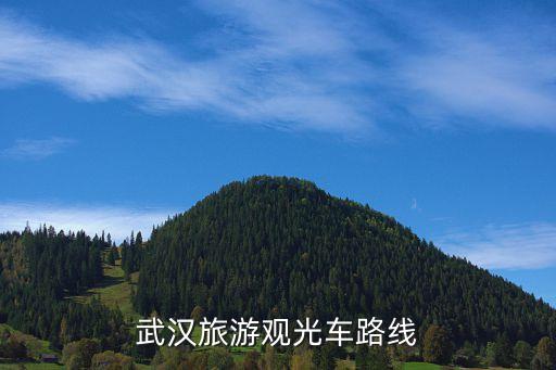 觀光路線,廣州觀光巴士路線