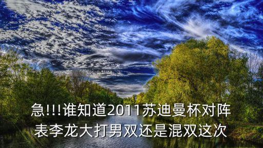 蘇迪曼杯賽程,2015蘇迪曼杯5月15日賽程安排如下