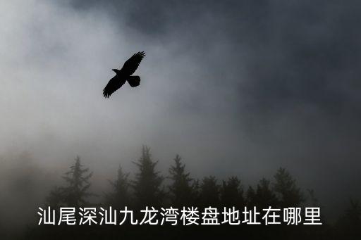九龍灣在哪里,汕尾深汕九龍灣樓盤地址在哪里?北京朝霞路東側