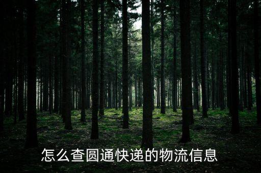 怎么查圓通快遞的物流信息