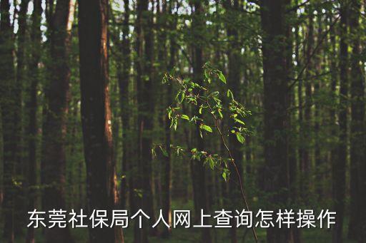 東莞社保局個人網上查詢怎樣操作